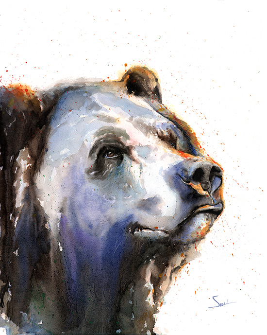 550x689 Grizzly Bear Watercolor Print Watercolor Animal Paintings