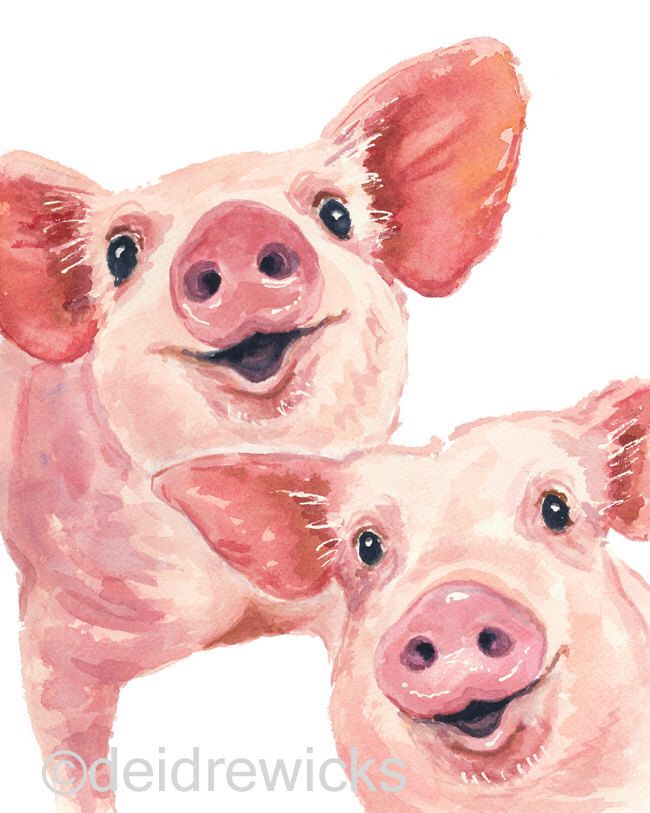 650x813 Pig Watercolor