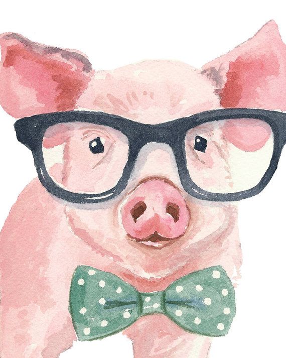 570x713 Pig Watercolor Print