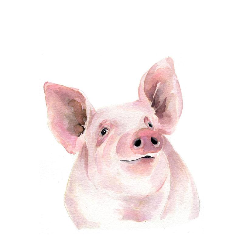 800x800 Piggy Pig Watercolor Paint Kit