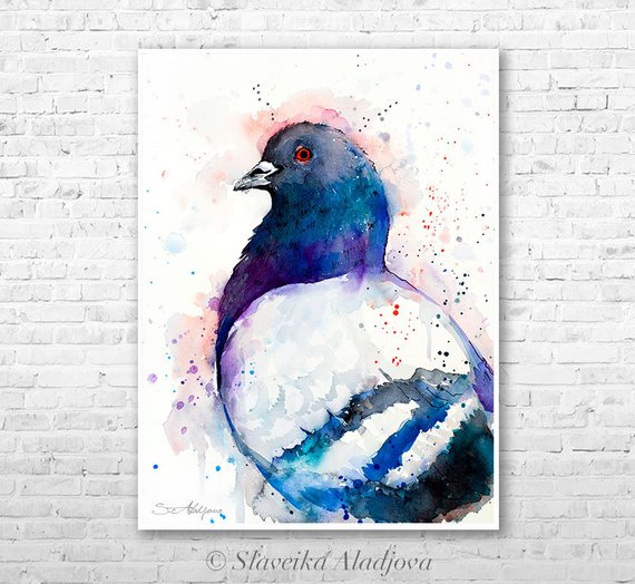 570x524 Pigeon Watercolor Painting Print By Slaveika Aladjova Animal Etsy