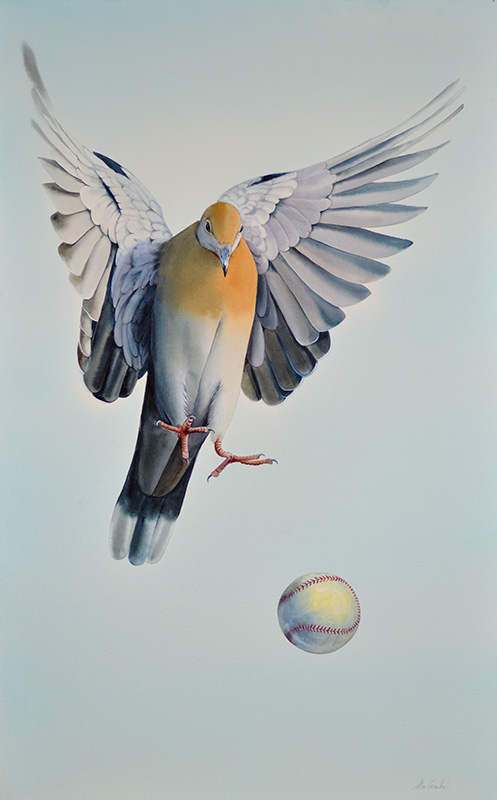 497x800 Pigeon With Baseball Animals R. Michelson Galleries