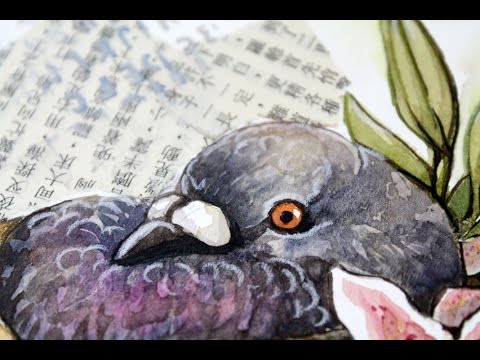 480x360 Watercolour Pigeon Painting