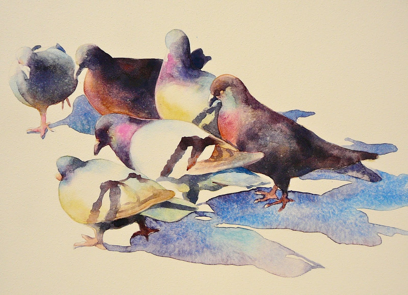 1600x1159 Ariel Freeman Fine Art Funky Pigeon Facts