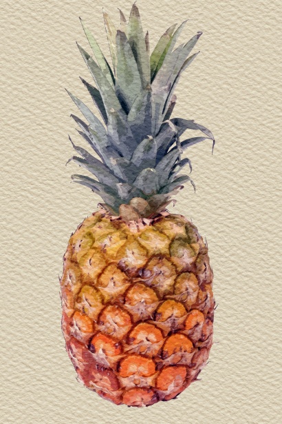410x615 Pineapple Watercolor Painting Free Stock Photo