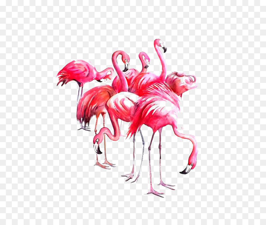 900x760 Flamingo Watercolor Painting Paper Art
