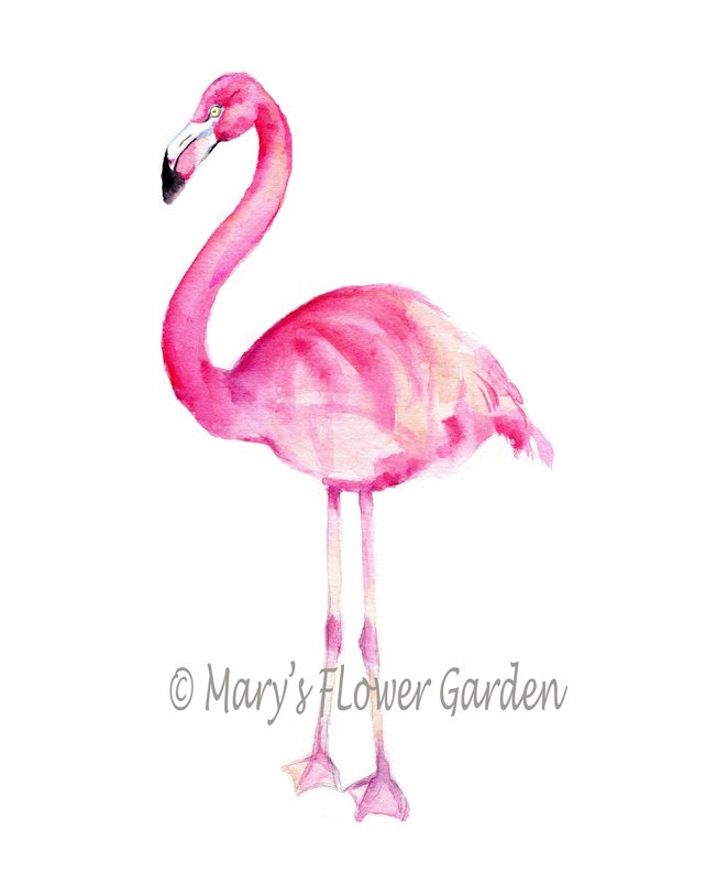642x803 Flamingo Art Tropical Decor Flamingo Watercolor Pink Etsy