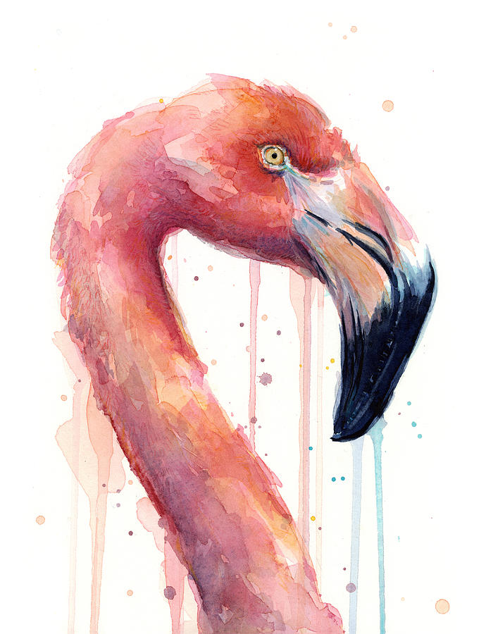 707x900 Pink Flamingo
