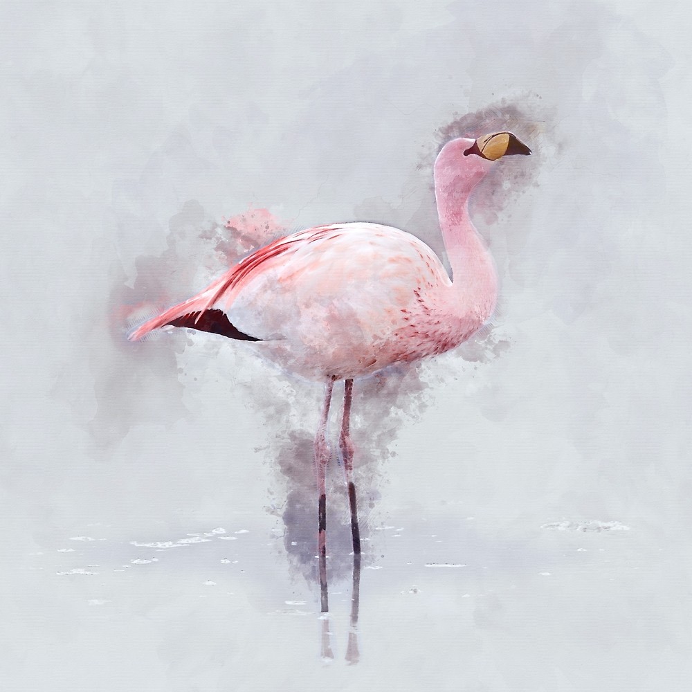 1000x1000 Pink Flamingo Watercolor By Chunkydesign Redbubble