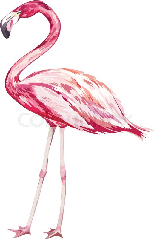 516x800 Pink Flamingo Watercolor Illustration Isolated On White Background