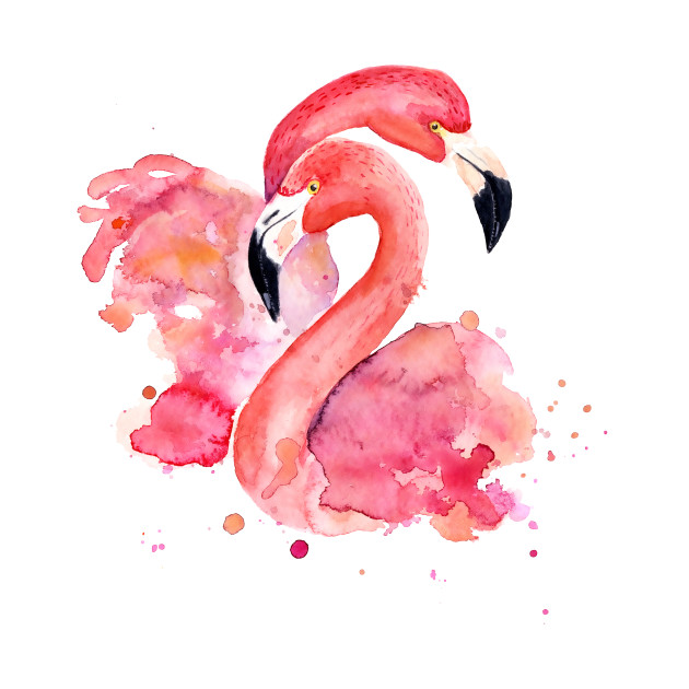 630x630 Awesome Pink Flamingo, Watercolor Painting Of Pair