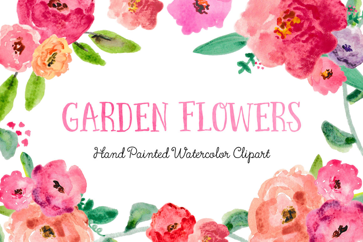 1160x772 Peony Clipart Border