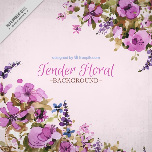 626x626 Pink Flower Vectors Free Vector Graphics Everypixel