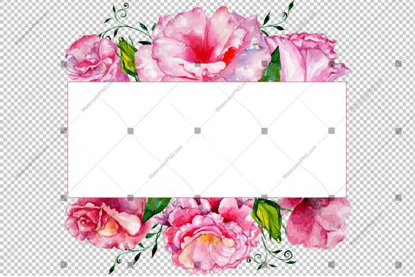 600x400 Pink Rose Png Frame Flowers Watercolor Watercolorpng