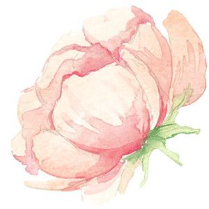 300x300 Tumblr Clipart Watercolor ~ Frames ~ Illustrations ~ Hd Images