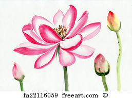 257x194 Free Art Print Of Watercolor Painting Of Lotus Flower. Original