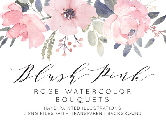 570x428 Blush Pink Roses Watercolor Clipart Dusty Pink Flowers Etsy