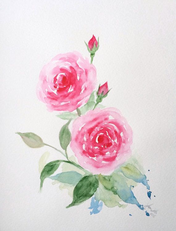 570x747 Original Watercolor Roses, Pink Roses Painting 9x12, Pink Rose