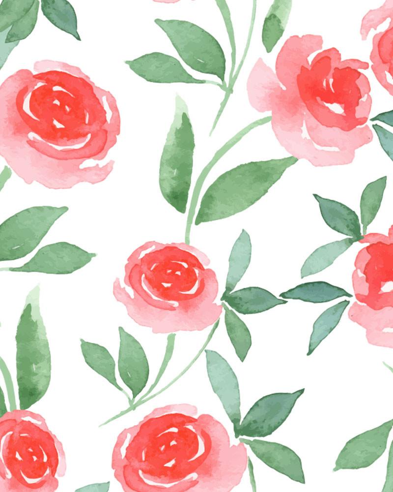 800x1000 Pink Rose Watercolor Wallpaper