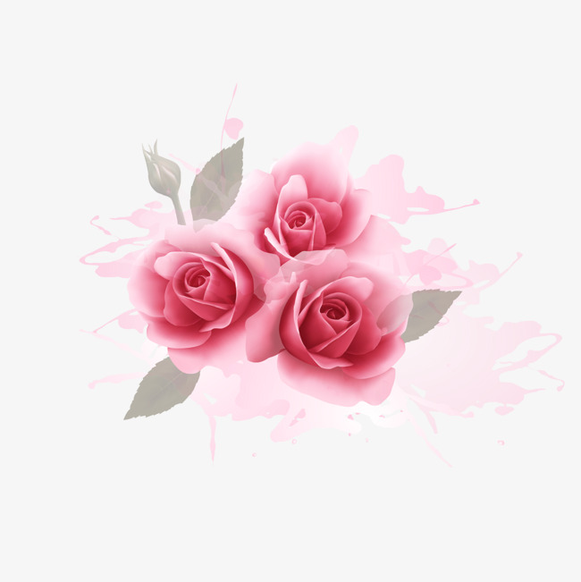 650x651 Romantic Pink Roses Watercolor Background, Watercolor Vector, Pink