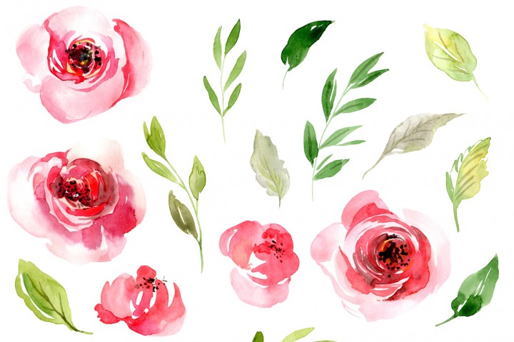 720x479 Watercolor Pink Roses Flowers Leaves By Watercolorflowers