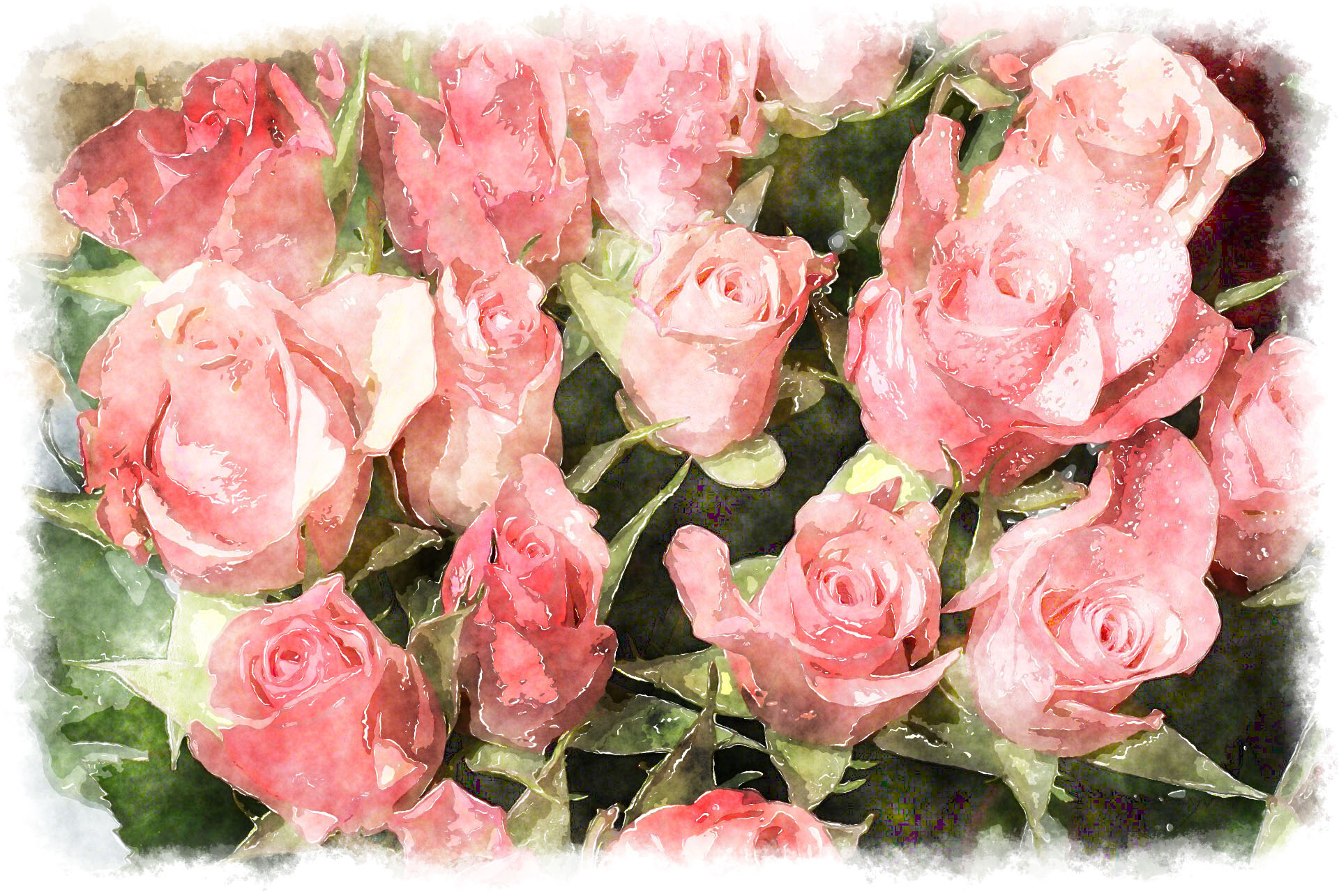 1920x1285 Pink Rose Bouquet Watercolor