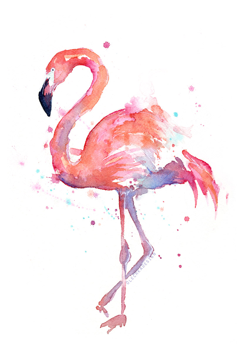 824x1200 Flamingo Watercolor Olechka Design