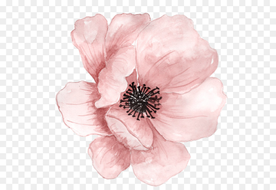 900x620 Flower Watercolor Painting Clip Art