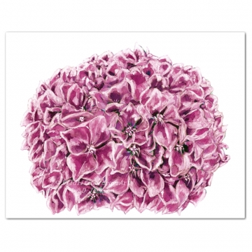 360x360 Contemporary Floral Watercolor Art Wildlife Gardener Art