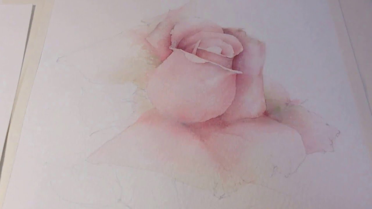 1280x720 The Pink Rose. Watercolor. Painting.