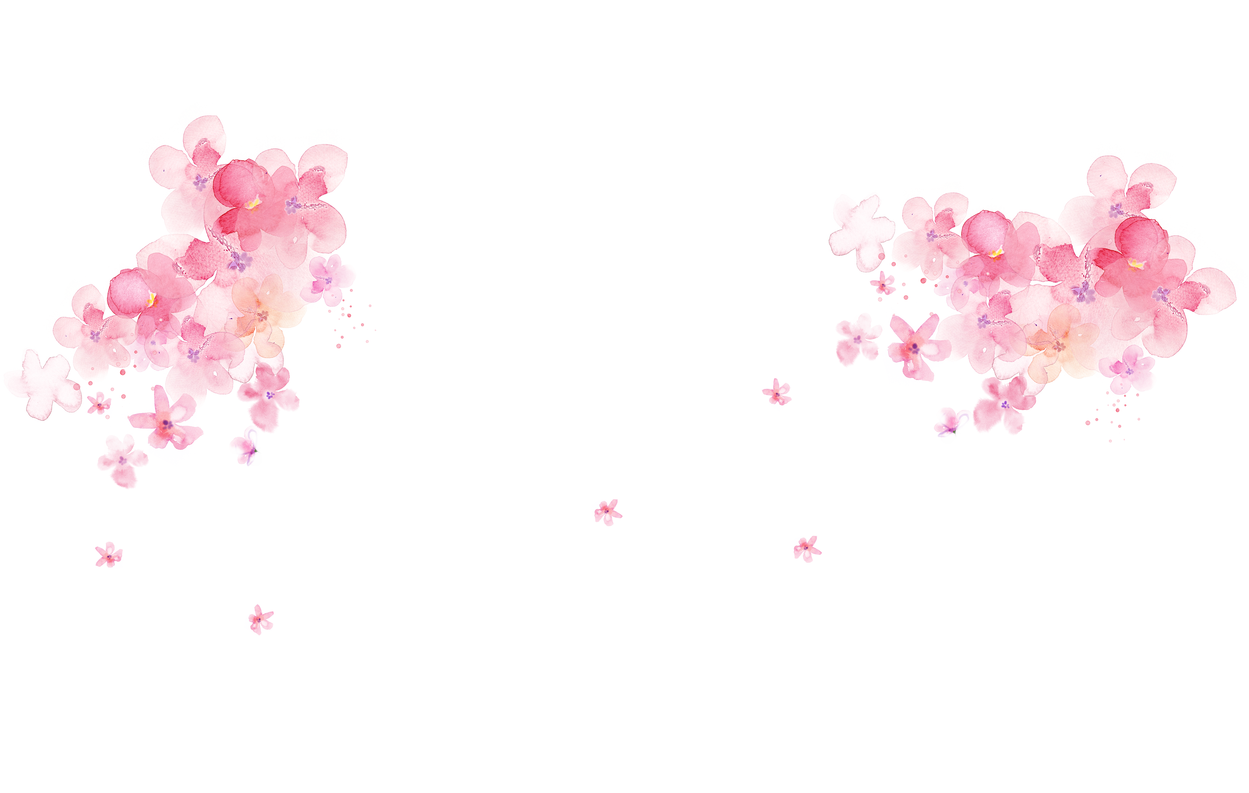 4330x2752 Pink Watercolor Painting Flower Desktop Wallpaper