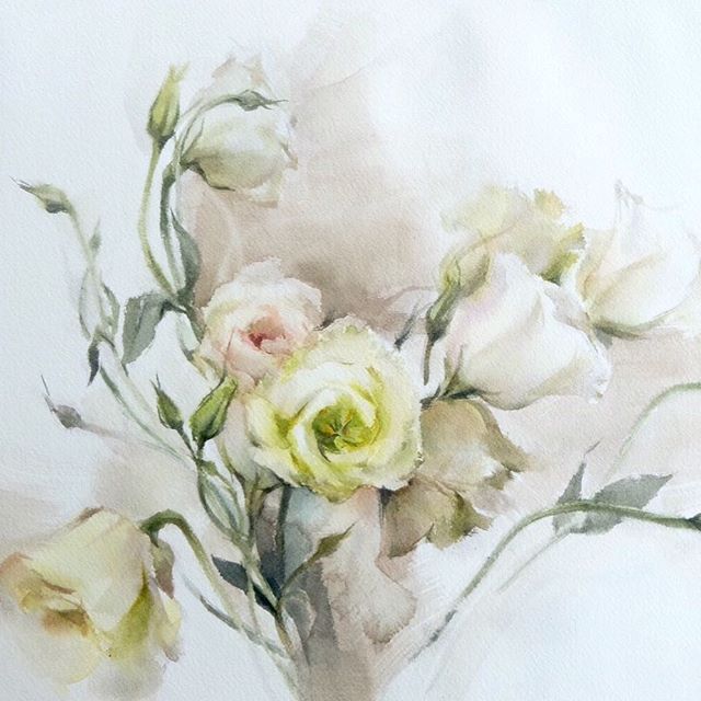 640x640 Watercolor Rose Phatcharaphan Watercolor Flowers