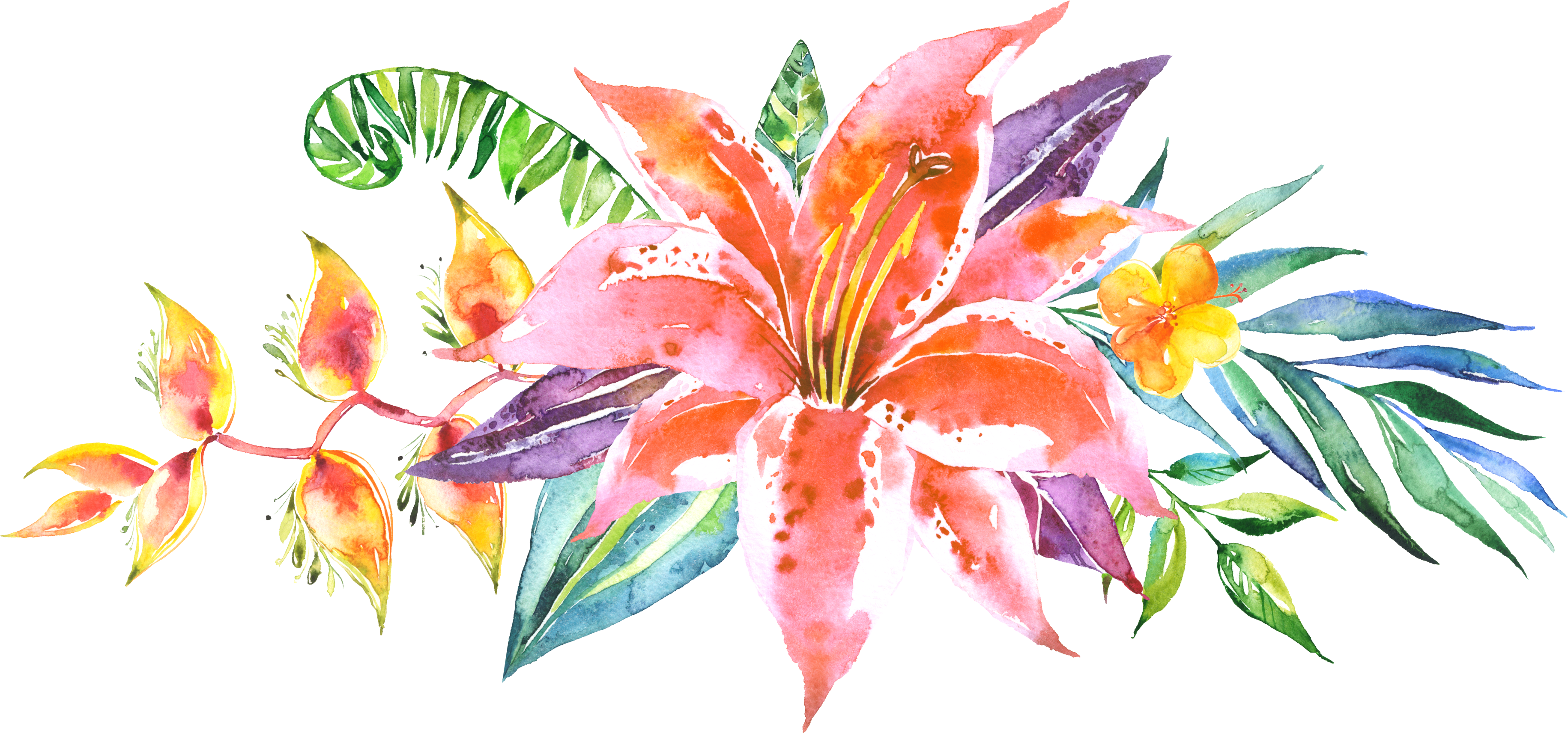 3661x1713 Watercolor House Banner Black And White Stock