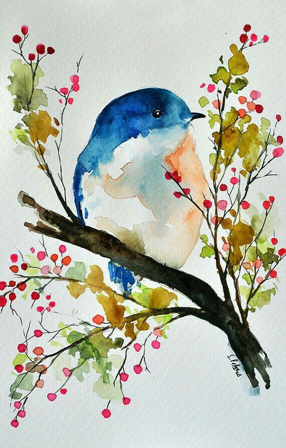 570x893 Acuarela. Art Watercolor, Bird And Paintings
