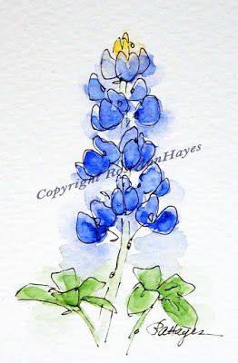 262x400 Bluebonnet Watercolors Bluebonnet Watercolor Painting Texas