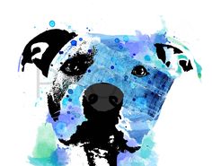 236x185 Image Result For Pitbull Watercolor Art Watercolor