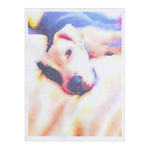 307x307 Make Your Own Pitbull Blanket