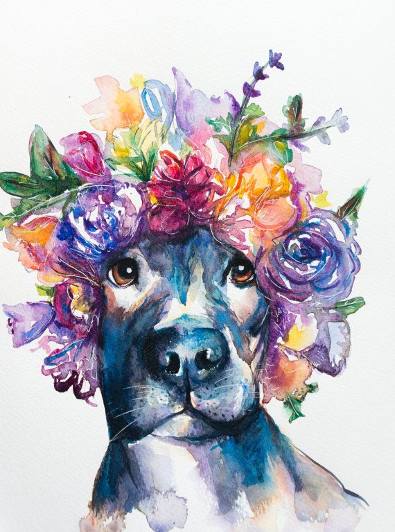 570x767 Original Pitbull Watercolor Painting Dog By Ebbandflowwatercolor