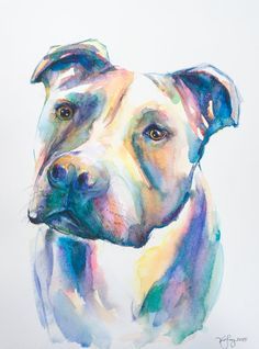 236x318 Original Pitbull Watercolor Painting Wall By Ebbandflowwatercolor