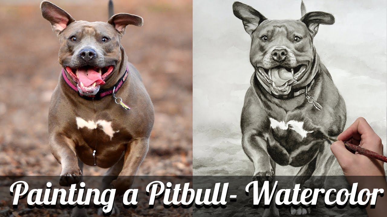 1280x720 Painting A Pitbull In Watercolor