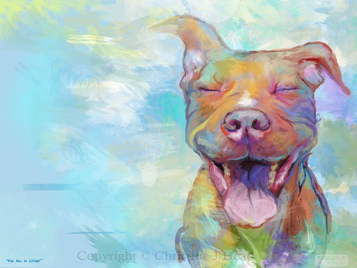 736x552 Pitbull Watercolor