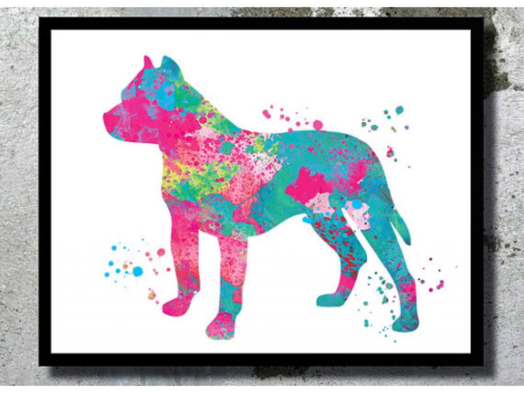 1024x768 Pitbull Watercolor Dog Art Print Dog Watercolor Pit Bull Home