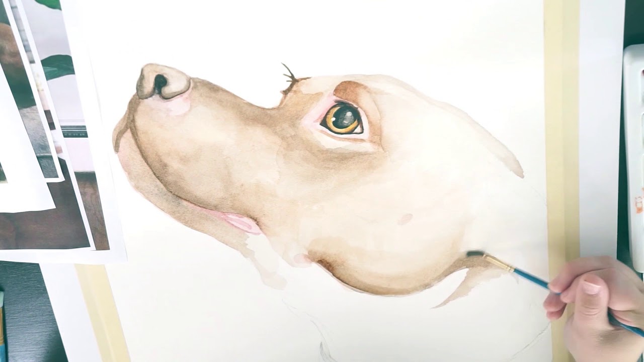 1280x720 Pitbull Watercolor Painting