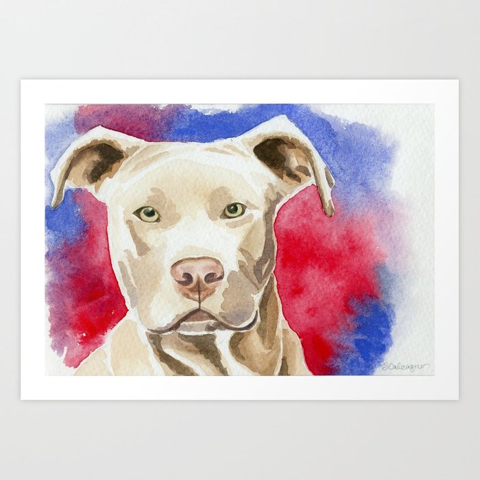 700x700 Pitbull Watercolor Painting Art Print By Clarityartdesign Society6