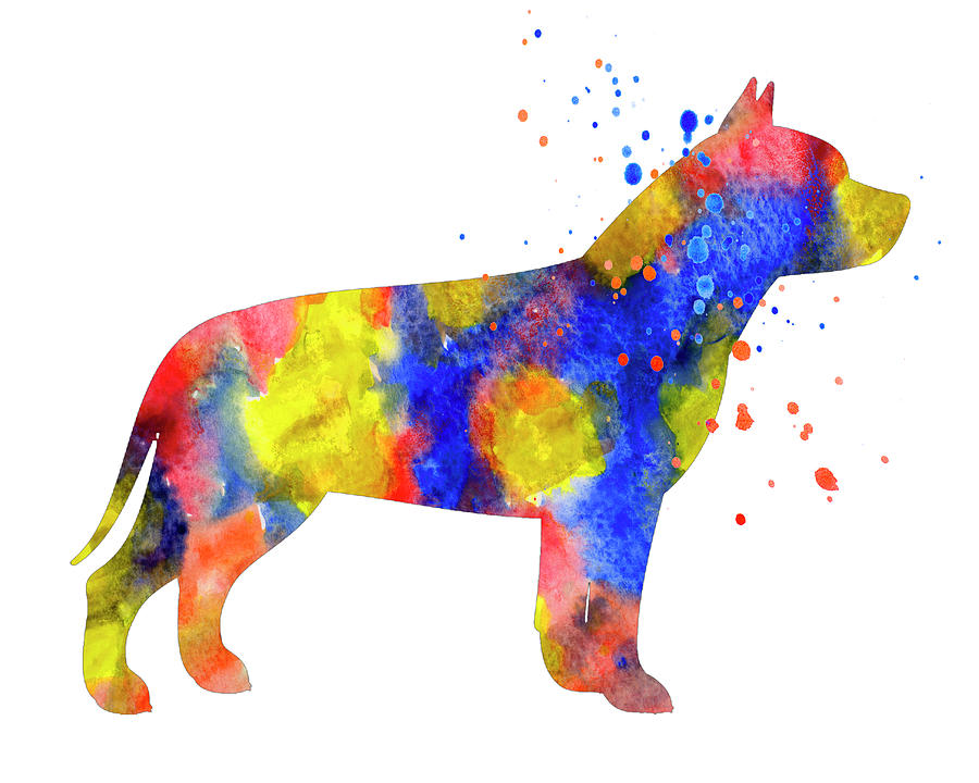 900x720 Pitbull Watercolor Silhouette Painting Photograph By Donald Erickson