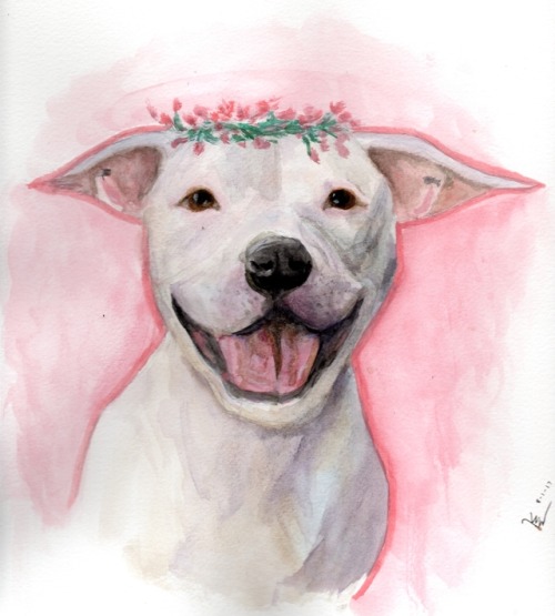500x555 Pitbull Watercolor Tumblr