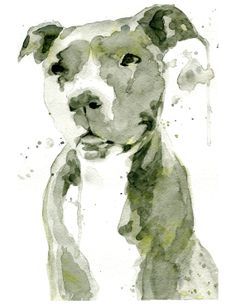 236x305 Pitbull Watercolor Tattoo