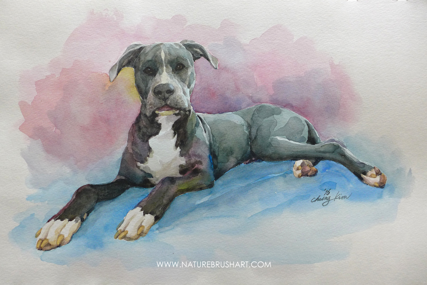 1452x969 Blue The Pitbull Naturebrushart
