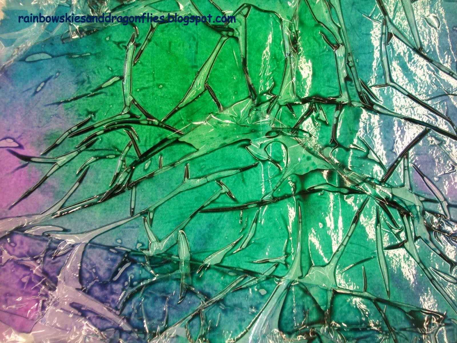 1600x1200 Rainbow Skies Amp Dragonflies Tranquil Landscapes