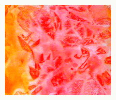 240x207 Thats A Wrap Mixed Media Background Painting Techniques